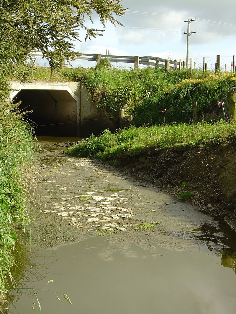 polluted water